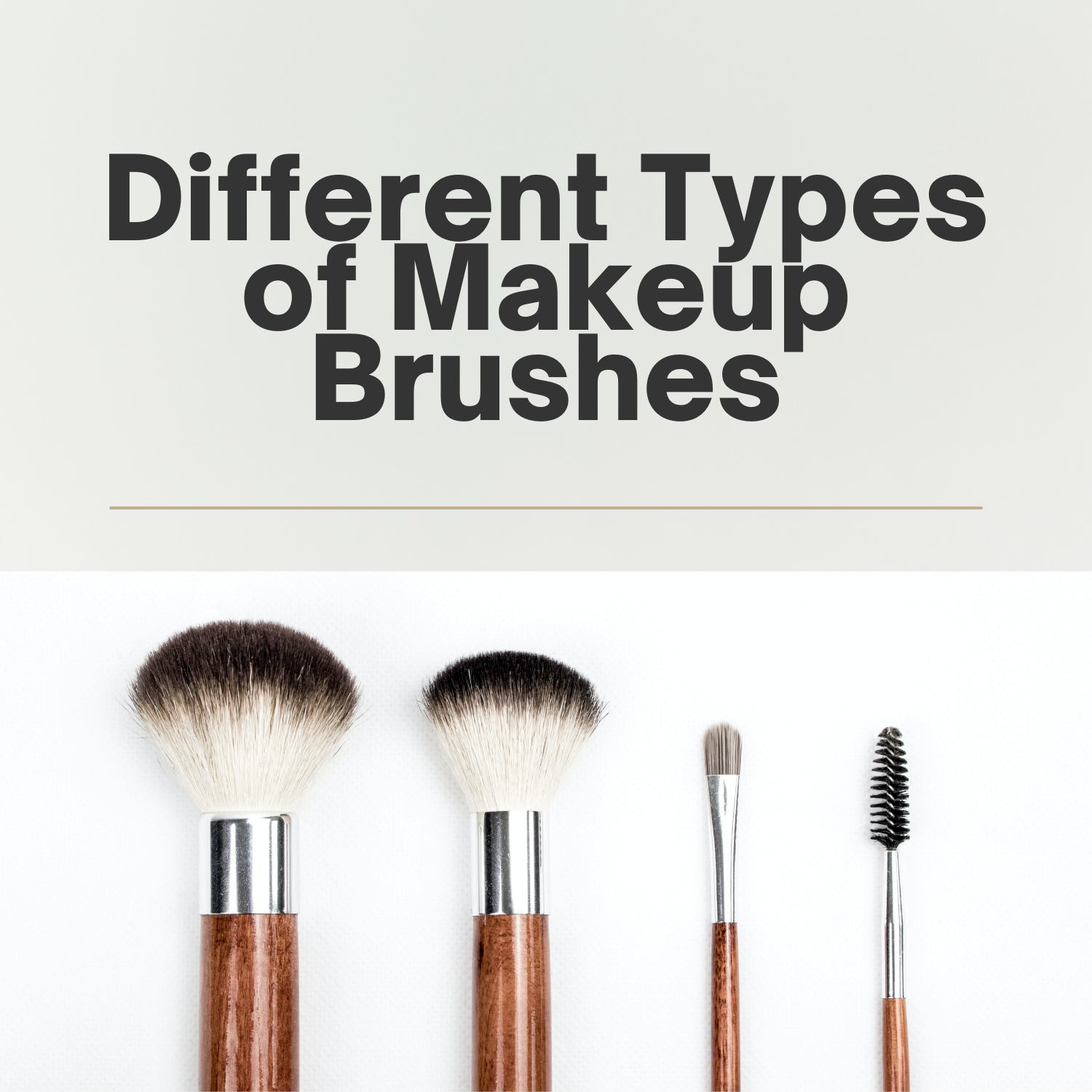 Different Types of Makeup Brushes